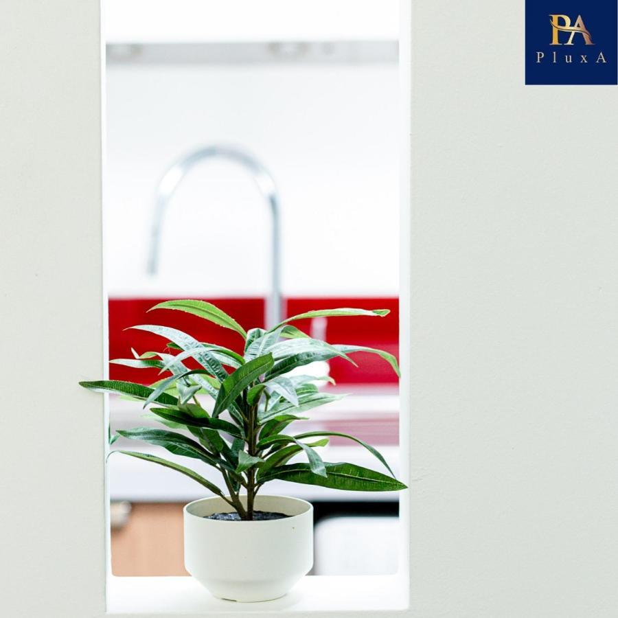 Pluxa Vivid Veranda Beautiful City Centre Apartment With Free Parking Birmingham Exterior foto
